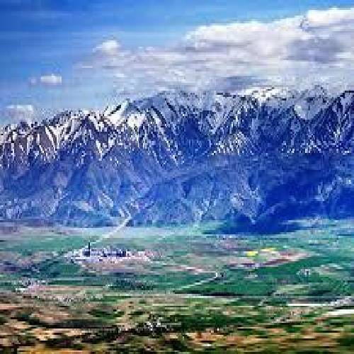 لطفا دکتر جوابم کن صبح ها پا سیگار و شب ها الکل